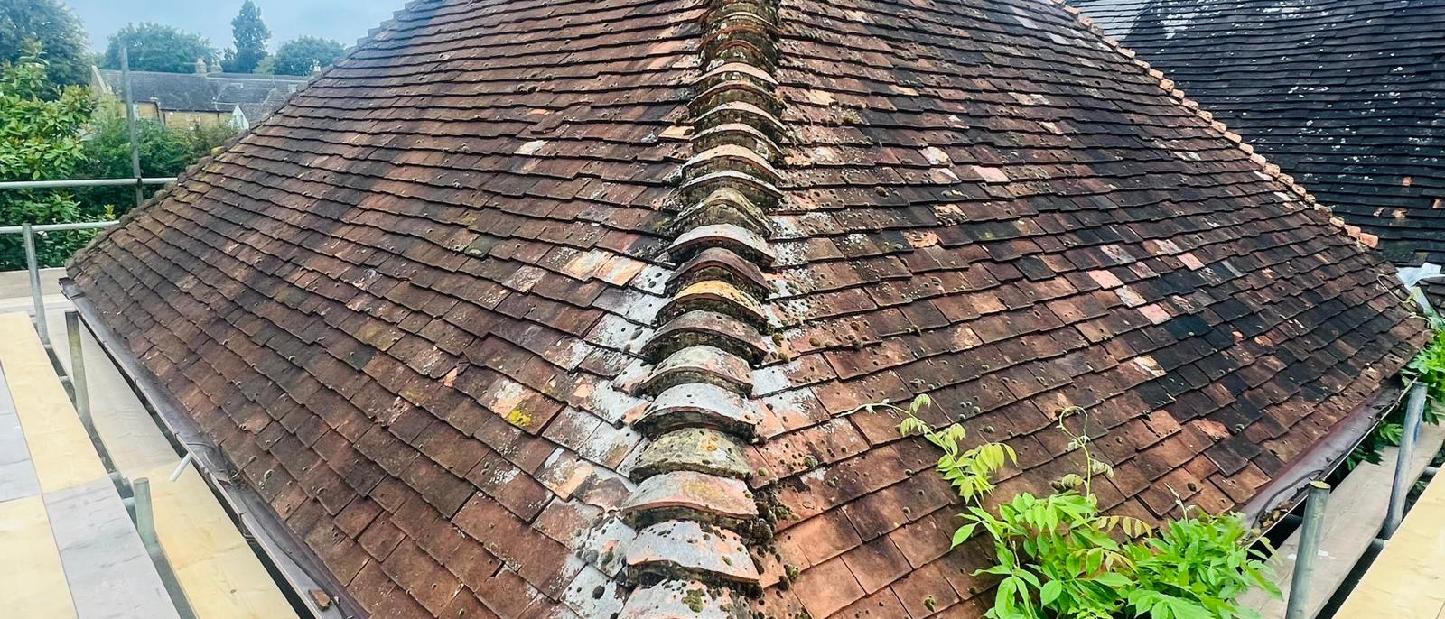 Clay tile roof covered in moss and plants, Bristol